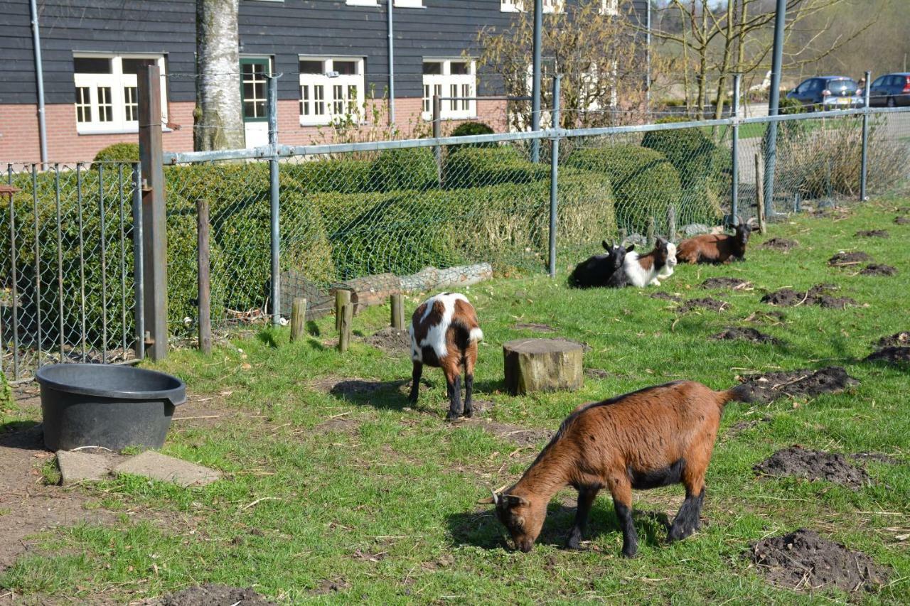 Appartement De Rulse Hoeve Heeze